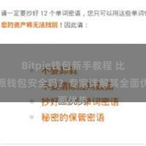 Bitpie钱包新手教程 比特派钱包安全吗？专家详解其全面优势