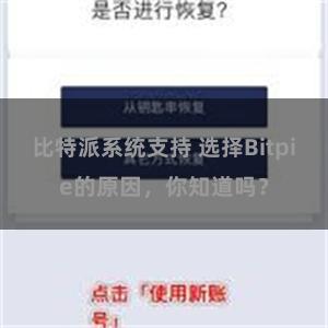 比特派系统支持 选择Bitpie的原因，你知道吗？