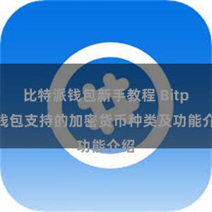 比特派钱包新手教程 Bitpie钱包支持的加密货币种类及功能介绍