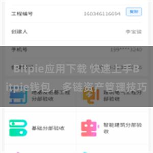 Bitpie应用下载 快速上手Bitpie钱包，多链资产管理技巧