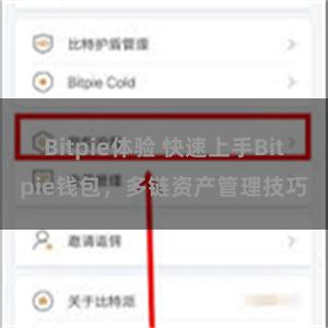 Bitpie体验 快速上手Bitpie钱包，多链资产管理技巧