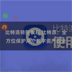 比特派转账教程 比特派：全方位保护用户数字资产安全