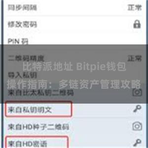 比特派地址 Bitpie钱包操作指南：多链资产管理攻略