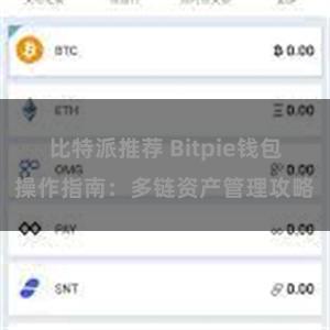 比特派推荐 Bitpie钱包操作指南：多链资产管理攻略