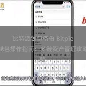 比特派钱包备份 Bitpie钱包操作指南：多链资产管理攻略