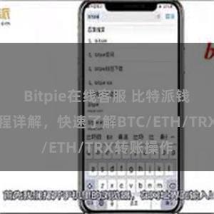 Bitpie在线客服 比特派钱包转账教程详解，快速了解BTC/ETH/TRX转账操作