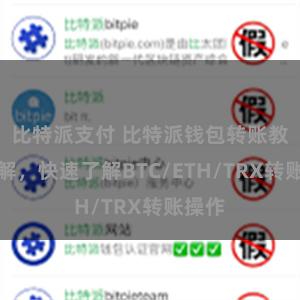 比特派支付 比特派钱包转账教程详解，快速了解BTC/ETH/TRX转账操作