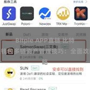 Bitpie APP直链 比特派钱包多链资产管理技巧：全面攻略