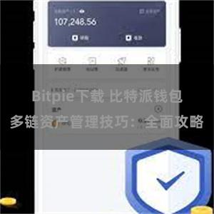 Bitpie下载 比特派钱包多链资产管理技巧：全面攻略