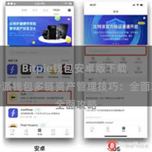 Bitpie钱包安卓版下载 比特派钱包多链资产管理技巧：全面攻略