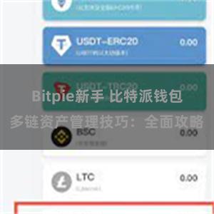 Bitpie新手 比特派钱包多链资产管理技巧：全面攻略