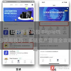 比特派安装包 Bitpie钱包使用技巧：多链资产管理全攻略