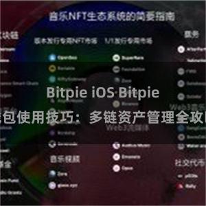 Bitpie iOS Bitpie钱包使用技巧：多链资产管理全攻略