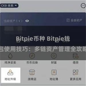 Bitpie币种 Bitpie钱包使用技巧：多链资产管理全攻略