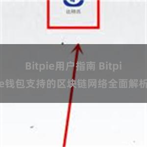 Bitpie用户指南 Bitpie钱包支持的区块链网络全面解析