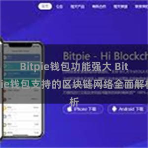 Bitpie钱包功能强大 Bitpie钱包支持的区块链网络全面解析