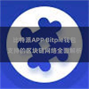 比特派APP Bitpie钱包支持的区块链网络全面解析