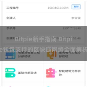 Bitpie新手指南 Bitpie钱包支持的区块链网络全面解析