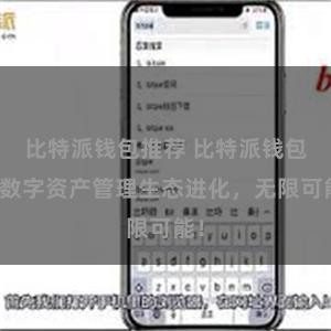 比特派钱包推荐 比特派钱包：数字资产管理生态进化，无限可能！