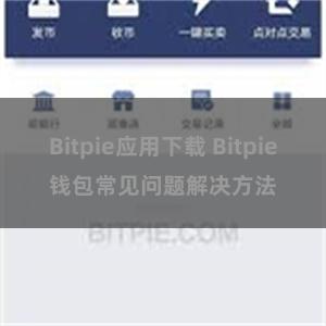 Bitpie应用下载 Bitpie钱包常见问题解决方法