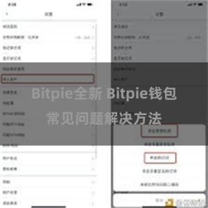 Bitpie全新 Bitpie钱包常见问题解决方法