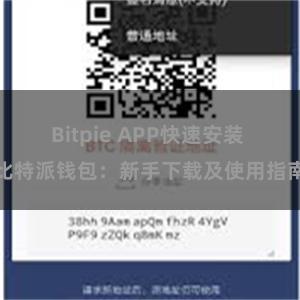 Bitpie APP快速安装 比特派钱包：新手下载及使用指南