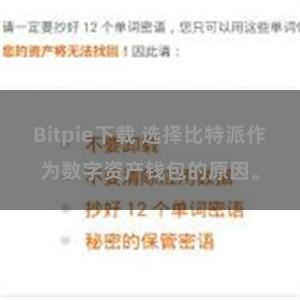 Bitpie下载 选择比特派作为数字资产钱包的原因。