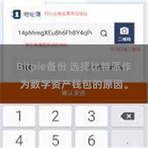 Bitpie备份 选择比特派作为数字资产钱包的原因。