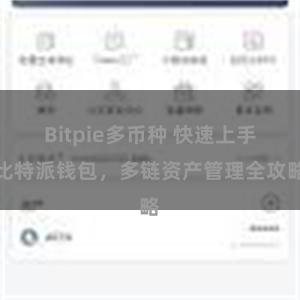 Bitpie多币种 快速上手比特派钱包，多链资产管理全攻略