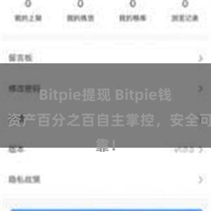 Bitpie提现 Bitpie钱包：资产百分之百自主掌控，安全可靠！