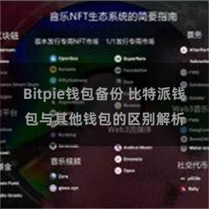 Bitpie钱包备份 比特派钱包与其他钱包的区别解析