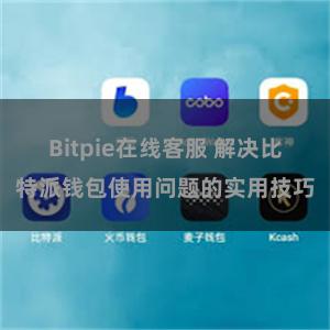 Bitpie在线客服 解决比特派钱包使用问题的实用技巧