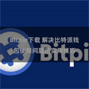 Bitpie下载 解决比特派钱包使用问题的实用技巧