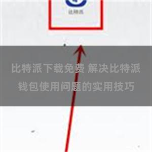 比特派下载免费 解决比特派钱包使用问题的实用技巧