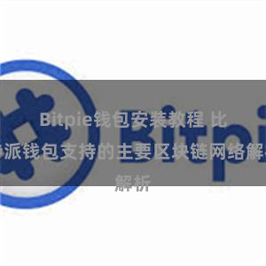 Bitpie钱包安装教程 比特派钱包支持的主要区块链网络解析