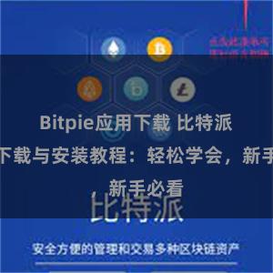 Bitpie应用下载 比特派钱包下载与安装教程：轻松学会，新手必看