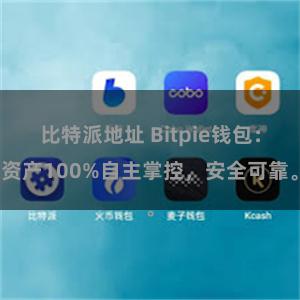 比特派地址 Bitpie钱包：资产100%自主掌控，安全可靠。