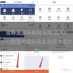 比特派国际钱包 比特派(Bitpie)钱包的团队背景与技术实力