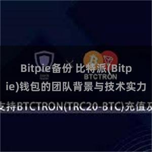 Bitpie备份 比特派(Bitpie)钱包的团队背景与技术实力