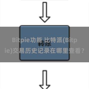 Bitpie功能 比特派(Bitpie)交易历史记录在哪里查看？