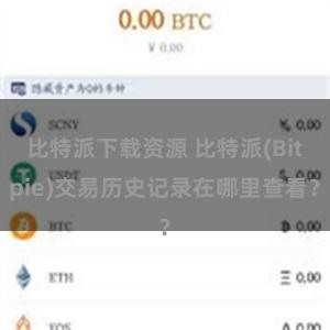 比特派下载资源 比特派(Bitpie)交易历史记录在哪里查看？