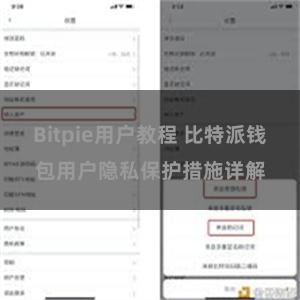 Bitpie用户教程 比特派钱包用户隐私保护措施详解